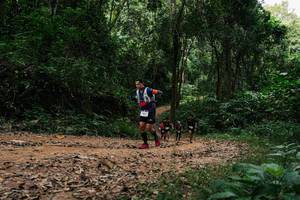 BIB: 
                            <button type="button" onclick="openModal(26979563)" class="btn btn-primary btn-sm float-right btn-popup" data-toggle="modal" data-target=".modal-high-quality">
                        <i class="fas fa-shopping-cart"></i> Add to Cart
                    </button>
                                            <button type="button" onclick="isThisMe(26979563, true)" class="btn btn-success btn-sm float-right btn-popup btn-isme hidden" data-toggle="tooltip" data-placement="bottom" title="นี่คือรูปของคุณใช่ไหม คลิกที่นี่เพื่อเอาเข้าอัลบั้ม">
                        <i class="fas fa-plus"></i> Add to album
                    </button>
                    <button type="button" onclick="isThisMe(26979563, false)" class="btn btn-warning btn-sm float-right btn-popup btn-isnotme hidden">
                        <i class="fas fa-ban"></i> Remove from album
                    </button>