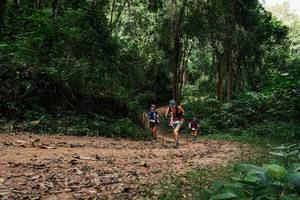 BIB: 
                            <button type="button" onclick="openModal(26980549)" class="btn btn-primary btn-sm float-right btn-popup" data-toggle="modal" data-target=".modal-high-quality">
                        <i class="fas fa-shopping-cart"></i> Add to Cart
                    </button>
                                            <button type="button" onclick="isThisMe(26980549, true)" class="btn btn-success btn-sm float-right btn-popup btn-isme hidden" data-toggle="tooltip" data-placement="bottom" title="นี่คือรูปของคุณใช่ไหม คลิกที่นี่เพื่อเอาเข้าอัลบั้ม">
                        <i class="fas fa-plus"></i> Add to album
                    </button>
                    <button type="button" onclick="isThisMe(26980549, false)" class="btn btn-warning btn-sm float-right btn-popup btn-isnotme hidden">
                        <i class="fas fa-ban"></i> Remove from album
                    </button>