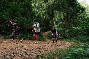 BIB: 
                            <button type="button" onclick="openModal(26976271)" class="btn btn-primary btn-sm float-right btn-popup" data-toggle="modal" data-target=".modal-high-quality">
                        <i class="fas fa-shopping-cart"></i> Add to Cart
                    </button>
                                            <button type="button" onclick="isThisMe(26976271, true)" class="btn btn-success btn-sm float-right btn-popup btn-isme hidden" data-toggle="tooltip" data-placement="bottom" title="นี่คือรูปของคุณใช่ไหม คลิกที่นี่เพื่อเอาเข้าอัลบั้ม">
                        <i class="fas fa-plus"></i> Add to album
                    </button>
                    <button type="button" onclick="isThisMe(26976271, false)" class="btn btn-warning btn-sm float-right btn-popup btn-isnotme hidden">
                        <i class="fas fa-ban"></i> Remove from album
                    </button>