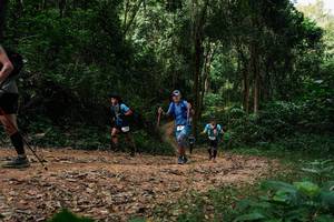 BIB: 
                            <button type="button" onclick="openModal(26977555)" class="btn btn-primary btn-sm float-right btn-popup" data-toggle="modal" data-target=".modal-high-quality">
                        <i class="fas fa-shopping-cart"></i> Add to Cart
                    </button>
                                            <button type="button" onclick="isThisMe(26977555, true)" class="btn btn-success btn-sm float-right btn-popup btn-isme hidden" data-toggle="tooltip" data-placement="bottom" title="นี่คือรูปของคุณใช่ไหม คลิกที่นี่เพื่อเอาเข้าอัลบั้ม">
                        <i class="fas fa-plus"></i> Add to album
                    </button>
                    <button type="button" onclick="isThisMe(26977555, false)" class="btn btn-warning btn-sm float-right btn-popup btn-isnotme hidden">
                        <i class="fas fa-ban"></i> Remove from album
                    </button>