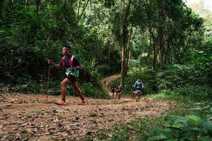 BIB: 
                            <button type="button" onclick="openModal(26976532)" class="btn btn-primary btn-sm float-right btn-popup" data-toggle="modal" data-target=".modal-high-quality">
                        <i class="fas fa-shopping-cart"></i> Add to Cart
                    </button>
                                            <button type="button" onclick="isThisMe(26976532, true)" class="btn btn-success btn-sm float-right btn-popup btn-isme hidden" data-toggle="tooltip" data-placement="bottom" title="นี่คือรูปของคุณใช่ไหม คลิกที่นี่เพื่อเอาเข้าอัลบั้ม">
                        <i class="fas fa-plus"></i> Add to album
                    </button>
                    <button type="button" onclick="isThisMe(26976532, false)" class="btn btn-warning btn-sm float-right btn-popup btn-isnotme hidden">
                        <i class="fas fa-ban"></i> Remove from album
                    </button>