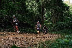 BIB: 
                            <button type="button" onclick="openModal(26977524)" class="btn btn-primary btn-sm float-right btn-popup" data-toggle="modal" data-target=".modal-high-quality">
                        <i class="fas fa-shopping-cart"></i> Add to Cart
                    </button>
                                            <button type="button" onclick="isThisMe(26977524, true)" class="btn btn-success btn-sm float-right btn-popup btn-isme hidden" data-toggle="tooltip" data-placement="bottom" title="นี่คือรูปของคุณใช่ไหม คลิกที่นี่เพื่อเอาเข้าอัลบั้ม">
                        <i class="fas fa-plus"></i> Add to album
                    </button>
                    <button type="button" onclick="isThisMe(26977524, false)" class="btn btn-warning btn-sm float-right btn-popup btn-isnotme hidden">
                        <i class="fas fa-ban"></i> Remove from album
                    </button>