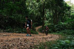 BIB: 
                            <button type="button" onclick="openModal(26979613)" class="btn btn-primary btn-sm float-right btn-popup" data-toggle="modal" data-target=".modal-high-quality">
                        <i class="fas fa-shopping-cart"></i> Add to Cart
                    </button>
                                            <button type="button" onclick="isThisMe(26979613, true)" class="btn btn-success btn-sm float-right btn-popup btn-isme hidden" data-toggle="tooltip" data-placement="bottom" title="นี่คือรูปของคุณใช่ไหม คลิกที่นี่เพื่อเอาเข้าอัลบั้ม">
                        <i class="fas fa-plus"></i> Add to album
                    </button>
                    <button type="button" onclick="isThisMe(26979613, false)" class="btn btn-warning btn-sm float-right btn-popup btn-isnotme hidden">
                        <i class="fas fa-ban"></i> Remove from album
                    </button>