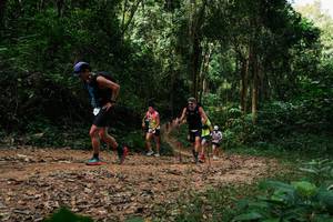 BIB: 
                            <button type="button" onclick="openModal(26977881)" class="btn btn-primary btn-sm float-right btn-popup" data-toggle="modal" data-target=".modal-high-quality">
                        <i class="fas fa-shopping-cart"></i> Add to Cart
                    </button>
                                            <button type="button" onclick="isThisMe(26977881, true)" class="btn btn-success btn-sm float-right btn-popup btn-isme hidden" data-toggle="tooltip" data-placement="bottom" title="นี่คือรูปของคุณใช่ไหม คลิกที่นี่เพื่อเอาเข้าอัลบั้ม">
                        <i class="fas fa-plus"></i> Add to album
                    </button>
                    <button type="button" onclick="isThisMe(26977881, false)" class="btn btn-warning btn-sm float-right btn-popup btn-isnotme hidden">
                        <i class="fas fa-ban"></i> Remove from album
                    </button>