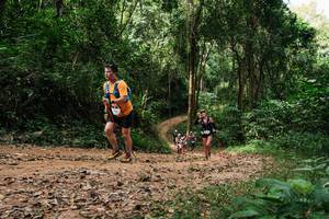 BIB: 
                            <button type="button" onclick="openModal(26976617)" class="btn btn-primary btn-sm float-right btn-popup" data-toggle="modal" data-target=".modal-high-quality">
                        <i class="fas fa-shopping-cart"></i> Add to Cart
                    </button>
                                            <button type="button" onclick="isThisMe(26976617, true)" class="btn btn-success btn-sm float-right btn-popup btn-isme hidden" data-toggle="tooltip" data-placement="bottom" title="นี่คือรูปของคุณใช่ไหม คลิกที่นี่เพื่อเอาเข้าอัลบั้ม">
                        <i class="fas fa-plus"></i> Add to album
                    </button>
                    <button type="button" onclick="isThisMe(26976617, false)" class="btn btn-warning btn-sm float-right btn-popup btn-isnotme hidden">
                        <i class="fas fa-ban"></i> Remove from album
                    </button>