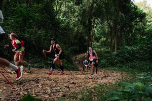 BIB: 
                            <button type="button" onclick="openModal(26978120)" class="btn btn-primary btn-sm float-right btn-popup" data-toggle="modal" data-target=".modal-high-quality">
                        <i class="fas fa-shopping-cart"></i> Add to Cart
                    </button>
                                            <button type="button" onclick="isThisMe(26978120, true)" class="btn btn-success btn-sm float-right btn-popup btn-isme hidden" data-toggle="tooltip" data-placement="bottom" title="นี่คือรูปของคุณใช่ไหม คลิกที่นี่เพื่อเอาเข้าอัลบั้ม">
                        <i class="fas fa-plus"></i> Add to album
                    </button>
                    <button type="button" onclick="isThisMe(26978120, false)" class="btn btn-warning btn-sm float-right btn-popup btn-isnotme hidden">
                        <i class="fas fa-ban"></i> Remove from album
                    </button>