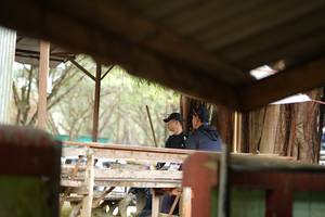 BIB: 
                            <button type="button" onclick="openModal(26820890)" class="btn btn-primary btn-sm float-right btn-popup" data-toggle="modal" data-target=".modal-high-quality">
                        <i class="fas fa-shopping-cart"></i> Add to Cart
                    </button>
                                            <button type="button" onclick="isThisMe(26820890, true)" class="btn btn-success btn-sm float-right btn-popup btn-isme hidden" data-toggle="tooltip" data-placement="bottom" title="นี่คือรูปของคุณใช่ไหม คลิกที่นี่เพื่อเอาเข้าอัลบั้ม">
                        <i class="fas fa-plus"></i> Add to album
                    </button>
                    <button type="button" onclick="isThisMe(26820890, false)" class="btn btn-warning btn-sm float-right btn-popup btn-isnotme hidden">
                        <i class="fas fa-ban"></i> Remove from album
                    </button>