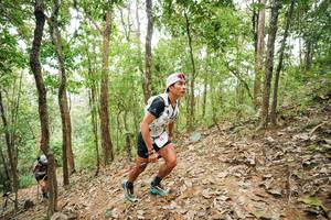 BIB: 
                            <button type="button" onclick="openModal(26814509)" class="btn btn-primary btn-sm float-right btn-popup" data-toggle="modal" data-target=".modal-high-quality">
                        <i class="fas fa-shopping-cart"></i> Add to Cart
                    </button>
                                            <button type="button" onclick="isThisMe(26814509, true)" class="btn btn-success btn-sm float-right btn-popup btn-isme hidden" data-toggle="tooltip" data-placement="bottom" title="นี่คือรูปของคุณใช่ไหม คลิกที่นี่เพื่อเอาเข้าอัลบั้ม">
                        <i class="fas fa-plus"></i> Add to album
                    </button>
                    <button type="button" onclick="isThisMe(26814509, false)" class="btn btn-warning btn-sm float-right btn-popup btn-isnotme hidden">
                        <i class="fas fa-ban"></i> Remove from album
                    </button>