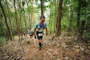 BIB: 
                            <button type="button" onclick="openModal(26816175)" class="btn btn-primary btn-sm float-right btn-popup" data-toggle="modal" data-target=".modal-high-quality">
                        <i class="fas fa-shopping-cart"></i> Add to Cart
                    </button>
                                            <button type="button" onclick="isThisMe(26816175, true)" class="btn btn-success btn-sm float-right btn-popup btn-isme hidden" data-toggle="tooltip" data-placement="bottom" title="นี่คือรูปของคุณใช่ไหม คลิกที่นี่เพื่อเอาเข้าอัลบั้ม">
                        <i class="fas fa-plus"></i> Add to album
                    </button>
                    <button type="button" onclick="isThisMe(26816175, false)" class="btn btn-warning btn-sm float-right btn-popup btn-isnotme hidden">
                        <i class="fas fa-ban"></i> Remove from album
                    </button>