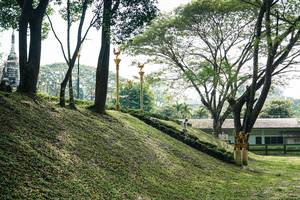 BIB: 
                            <button type="button" onclick="openModal(26820884)" class="btn btn-primary btn-sm float-right btn-popup" data-toggle="modal" data-target=".modal-high-quality">
                        <i class="fas fa-shopping-cart"></i> Add to Cart
                    </button>
                                            <button type="button" onclick="isThisMe(26820884, true)" class="btn btn-success btn-sm float-right btn-popup btn-isme hidden" data-toggle="tooltip" data-placement="bottom" title="นี่คือรูปของคุณใช่ไหม คลิกที่นี่เพื่อเอาเข้าอัลบั้ม">
                        <i class="fas fa-plus"></i> Add to album
                    </button>
                    <button type="button" onclick="isThisMe(26820884, false)" class="btn btn-warning btn-sm float-right btn-popup btn-isnotme hidden">
                        <i class="fas fa-ban"></i> Remove from album
                    </button>