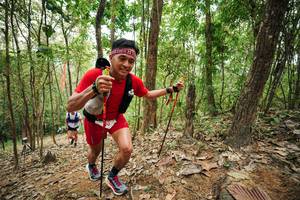 BIB: 
                            <button type="button" onclick="openModal(26814694)" class="btn btn-primary btn-sm float-right btn-popup" data-toggle="modal" data-target=".modal-high-quality">
                        <i class="fas fa-shopping-cart"></i> Add to Cart
                    </button>
                                            <button type="button" onclick="isThisMe(26814694, true)" class="btn btn-success btn-sm float-right btn-popup btn-isme hidden" data-toggle="tooltip" data-placement="bottom" title="นี่คือรูปของคุณใช่ไหม คลิกที่นี่เพื่อเอาเข้าอัลบั้ม">
                        <i class="fas fa-plus"></i> Add to album
                    </button>
                    <button type="button" onclick="isThisMe(26814694, false)" class="btn btn-warning btn-sm float-right btn-popup btn-isnotme hidden">
                        <i class="fas fa-ban"></i> Remove from album
                    </button>