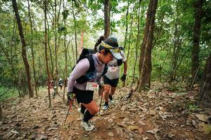 BIB: 
                            <button type="button" onclick="openModal(26815860)" class="btn btn-primary btn-sm float-right btn-popup" data-toggle="modal" data-target=".modal-high-quality">
                        <i class="fas fa-shopping-cart"></i> Add to Cart
                    </button>
                                            <button type="button" onclick="isThisMe(26815860, true)" class="btn btn-success btn-sm float-right btn-popup btn-isme hidden" data-toggle="tooltip" data-placement="bottom" title="นี่คือรูปของคุณใช่ไหม คลิกที่นี่เพื่อเอาเข้าอัลบั้ม">
                        <i class="fas fa-plus"></i> Add to album
                    </button>
                    <button type="button" onclick="isThisMe(26815860, false)" class="btn btn-warning btn-sm float-right btn-popup btn-isnotme hidden">
                        <i class="fas fa-ban"></i> Remove from album
                    </button>