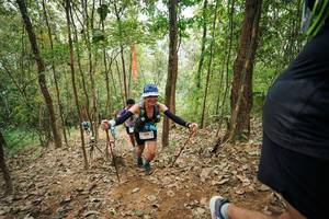 BIB: 
                            <button type="button" onclick="openModal(26816204)" class="btn btn-primary btn-sm float-right btn-popup" data-toggle="modal" data-target=".modal-high-quality">
                        <i class="fas fa-shopping-cart"></i> Add to Cart
                    </button>
                                            <button type="button" onclick="isThisMe(26816204, true)" class="btn btn-success btn-sm float-right btn-popup btn-isme hidden" data-toggle="tooltip" data-placement="bottom" title="นี่คือรูปของคุณใช่ไหม คลิกที่นี่เพื่อเอาเข้าอัลบั้ม">
                        <i class="fas fa-plus"></i> Add to album
                    </button>
                    <button type="button" onclick="isThisMe(26816204, false)" class="btn btn-warning btn-sm float-right btn-popup btn-isnotme hidden">
                        <i class="fas fa-ban"></i> Remove from album
                    </button>