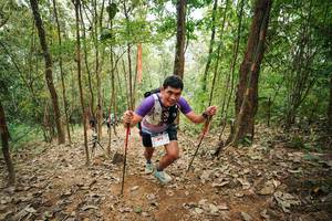 BIB: 
                            <button type="button" onclick="openModal(26816219)" class="btn btn-primary btn-sm float-right btn-popup" data-toggle="modal" data-target=".modal-high-quality">
                        <i class="fas fa-shopping-cart"></i> Add to Cart
                    </button>
                                            <button type="button" onclick="isThisMe(26816219, true)" class="btn btn-success btn-sm float-right btn-popup btn-isme hidden" data-toggle="tooltip" data-placement="bottom" title="นี่คือรูปของคุณใช่ไหม คลิกที่นี่เพื่อเอาเข้าอัลบั้ม">
                        <i class="fas fa-plus"></i> Add to album
                    </button>
                    <button type="button" onclick="isThisMe(26816219, false)" class="btn btn-warning btn-sm float-right btn-popup btn-isnotme hidden">
                        <i class="fas fa-ban"></i> Remove from album
                    </button>