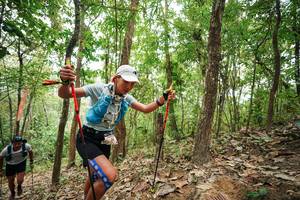 BIB: 
                            <button type="button" onclick="openModal(26814653)" class="btn btn-primary btn-sm float-right btn-popup" data-toggle="modal" data-target=".modal-high-quality">
                        <i class="fas fa-shopping-cart"></i> Add to Cart
                    </button>
                                            <button type="button" onclick="isThisMe(26814653, true)" class="btn btn-success btn-sm float-right btn-popup btn-isme hidden" data-toggle="tooltip" data-placement="bottom" title="นี่คือรูปของคุณใช่ไหม คลิกที่นี่เพื่อเอาเข้าอัลบั้ม">
                        <i class="fas fa-plus"></i> Add to album
                    </button>
                    <button type="button" onclick="isThisMe(26814653, false)" class="btn btn-warning btn-sm float-right btn-popup btn-isnotme hidden">
                        <i class="fas fa-ban"></i> Remove from album
                    </button>