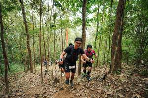 BIB: 
                            <button type="button" onclick="openModal(26815487)" class="btn btn-primary btn-sm float-right btn-popup" data-toggle="modal" data-target=".modal-high-quality">
                        <i class="fas fa-shopping-cart"></i> Add to Cart
                    </button>
                                            <button type="button" onclick="isThisMe(26815487, true)" class="btn btn-success btn-sm float-right btn-popup btn-isme hidden" data-toggle="tooltip" data-placement="bottom" title="นี่คือรูปของคุณใช่ไหม คลิกที่นี่เพื่อเอาเข้าอัลบั้ม">
                        <i class="fas fa-plus"></i> Add to album
                    </button>
                    <button type="button" onclick="isThisMe(26815487, false)" class="btn btn-warning btn-sm float-right btn-popup btn-isnotme hidden">
                        <i class="fas fa-ban"></i> Remove from album
                    </button>