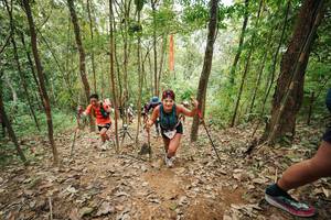 BIB: 
                            <button type="button" onclick="openModal(26815413)" class="btn btn-primary btn-sm float-right btn-popup" data-toggle="modal" data-target=".modal-high-quality">
                        <i class="fas fa-shopping-cart"></i> Add to Cart
                    </button>
                                            <button type="button" onclick="isThisMe(26815413, true)" class="btn btn-success btn-sm float-right btn-popup btn-isme hidden" data-toggle="tooltip" data-placement="bottom" title="นี่คือรูปของคุณใช่ไหม คลิกที่นี่เพื่อเอาเข้าอัลบั้ม">
                        <i class="fas fa-plus"></i> Add to album
                    </button>
                    <button type="button" onclick="isThisMe(26815413, false)" class="btn btn-warning btn-sm float-right btn-popup btn-isnotme hidden">
                        <i class="fas fa-ban"></i> Remove from album
                    </button>