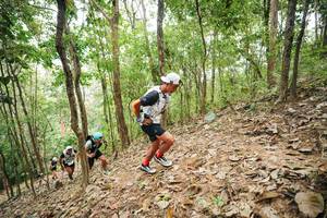 BIB: 
                            <button type="button" onclick="openModal(26814472)" class="btn btn-primary btn-sm float-right btn-popup" data-toggle="modal" data-target=".modal-high-quality">
                        <i class="fas fa-shopping-cart"></i> Add to Cart
                    </button>
                                            <button type="button" onclick="isThisMe(26814472, true)" class="btn btn-success btn-sm float-right btn-popup btn-isme hidden" data-toggle="tooltip" data-placement="bottom" title="นี่คือรูปของคุณใช่ไหม คลิกที่นี่เพื่อเอาเข้าอัลบั้ม">
                        <i class="fas fa-plus"></i> Add to album
                    </button>
                    <button type="button" onclick="isThisMe(26814472, false)" class="btn btn-warning btn-sm float-right btn-popup btn-isnotme hidden">
                        <i class="fas fa-ban"></i> Remove from album
                    </button>