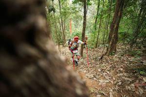 BIB: 
                            <button type="button" onclick="openModal(26814737)" class="btn btn-primary btn-sm float-right btn-popup" data-toggle="modal" data-target=".modal-high-quality">
                        <i class="fas fa-shopping-cart"></i> Add to Cart
                    </button>
                                            <button type="button" onclick="isThisMe(26814737, true)" class="btn btn-success btn-sm float-right btn-popup btn-isme hidden" data-toggle="tooltip" data-placement="bottom" title="นี่คือรูปของคุณใช่ไหม คลิกที่นี่เพื่อเอาเข้าอัลบั้ม">
                        <i class="fas fa-plus"></i> Add to album
                    </button>
                    <button type="button" onclick="isThisMe(26814737, false)" class="btn btn-warning btn-sm float-right btn-popup btn-isnotme hidden">
                        <i class="fas fa-ban"></i> Remove from album
                    </button>