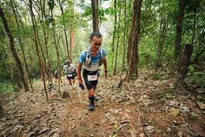 BIB: 
                            <button type="button" onclick="openModal(26816171)" class="btn btn-primary btn-sm float-right btn-popup" data-toggle="modal" data-target=".modal-high-quality">
                        <i class="fas fa-shopping-cart"></i> Add to Cart
                    </button>
                                            <button type="button" onclick="isThisMe(26816171, true)" class="btn btn-success btn-sm float-right btn-popup btn-isme hidden" data-toggle="tooltip" data-placement="bottom" title="นี่คือรูปของคุณใช่ไหม คลิกที่นี่เพื่อเอาเข้าอัลบั้ม">
                        <i class="fas fa-plus"></i> Add to album
                    </button>
                    <button type="button" onclick="isThisMe(26816171, false)" class="btn btn-warning btn-sm float-right btn-popup btn-isnotme hidden">
                        <i class="fas fa-ban"></i> Remove from album
                    </button>