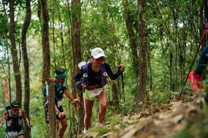 BIB: 
                            <button type="button" onclick="openModal(26820307)" class="btn btn-primary btn-sm float-right btn-popup" data-toggle="modal" data-target=".modal-high-quality">
                        <i class="fas fa-shopping-cart"></i> Add to Cart
                    </button>
                                            <button type="button" onclick="isThisMe(26820307, true)" class="btn btn-success btn-sm float-right btn-popup btn-isme hidden" data-toggle="tooltip" data-placement="bottom" title="นี่คือรูปของคุณใช่ไหม คลิกที่นี่เพื่อเอาเข้าอัลบั้ม">
                        <i class="fas fa-plus"></i> Add to album
                    </button>
                    <button type="button" onclick="isThisMe(26820307, false)" class="btn btn-warning btn-sm float-right btn-popup btn-isnotme hidden">
                        <i class="fas fa-ban"></i> Remove from album
                    </button>