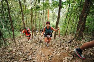 BIB: 
                            <button type="button" onclick="openModal(26815415)" class="btn btn-primary btn-sm float-right btn-popup" data-toggle="modal" data-target=".modal-high-quality">
                        <i class="fas fa-shopping-cart"></i> Add to Cart
                    </button>
                                            <button type="button" onclick="isThisMe(26815415, true)" class="btn btn-success btn-sm float-right btn-popup btn-isme hidden" data-toggle="tooltip" data-placement="bottom" title="นี่คือรูปของคุณใช่ไหม คลิกที่นี่เพื่อเอาเข้าอัลบั้ม">
                        <i class="fas fa-plus"></i> Add to album
                    </button>
                    <button type="button" onclick="isThisMe(26815415, false)" class="btn btn-warning btn-sm float-right btn-popup btn-isnotme hidden">
                        <i class="fas fa-ban"></i> Remove from album
                    </button>