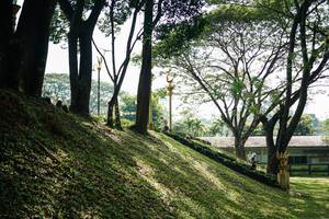 BIB: 
                            <button type="button" onclick="openModal(26820881)" class="btn btn-primary btn-sm float-right btn-popup" data-toggle="modal" data-target=".modal-high-quality">
                        <i class="fas fa-shopping-cart"></i> Add to Cart
                    </button>
                                            <button type="button" onclick="isThisMe(26820881, true)" class="btn btn-success btn-sm float-right btn-popup btn-isme hidden" data-toggle="tooltip" data-placement="bottom" title="นี่คือรูปของคุณใช่ไหม คลิกที่นี่เพื่อเอาเข้าอัลบั้ม">
                        <i class="fas fa-plus"></i> Add to album
                    </button>
                    <button type="button" onclick="isThisMe(26820881, false)" class="btn btn-warning btn-sm float-right btn-popup btn-isnotme hidden">
                        <i class="fas fa-ban"></i> Remove from album
                    </button>