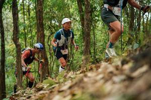 BIB: 
                            <button type="button" onclick="openModal(26819797)" class="btn btn-primary btn-sm float-right btn-popup" data-toggle="modal" data-target=".modal-high-quality">
                        <i class="fas fa-shopping-cart"></i> Add to Cart
                    </button>
                                            <button type="button" onclick="isThisMe(26819797, true)" class="btn btn-success btn-sm float-right btn-popup btn-isme hidden" data-toggle="tooltip" data-placement="bottom" title="นี่คือรูปของคุณใช่ไหม คลิกที่นี่เพื่อเอาเข้าอัลบั้ม">
                        <i class="fas fa-plus"></i> Add to album
                    </button>
                    <button type="button" onclick="isThisMe(26819797, false)" class="btn btn-warning btn-sm float-right btn-popup btn-isnotme hidden">
                        <i class="fas fa-ban"></i> Remove from album
                    </button>