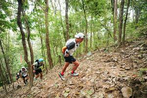 BIB: 
                            <button type="button" onclick="openModal(26814477)" class="btn btn-primary btn-sm float-right btn-popup" data-toggle="modal" data-target=".modal-high-quality">
                        <i class="fas fa-shopping-cart"></i> Add to Cart
                    </button>
                                            <button type="button" onclick="isThisMe(26814477, true)" class="btn btn-success btn-sm float-right btn-popup btn-isme hidden" data-toggle="tooltip" data-placement="bottom" title="นี่คือรูปของคุณใช่ไหม คลิกที่นี่เพื่อเอาเข้าอัลบั้ม">
                        <i class="fas fa-plus"></i> Add to album
                    </button>
                    <button type="button" onclick="isThisMe(26814477, false)" class="btn btn-warning btn-sm float-right btn-popup btn-isnotme hidden">
                        <i class="fas fa-ban"></i> Remove from album
                    </button>