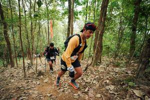 BIB: 
                            <button type="button" onclick="openModal(26815344)" class="btn btn-primary btn-sm float-right btn-popup" data-toggle="modal" data-target=".modal-high-quality">
                        <i class="fas fa-shopping-cart"></i> Add to Cart
                    </button>
                                            <button type="button" onclick="isThisMe(26815344, true)" class="btn btn-success btn-sm float-right btn-popup btn-isme hidden" data-toggle="tooltip" data-placement="bottom" title="นี่คือรูปของคุณใช่ไหม คลิกที่นี่เพื่อเอาเข้าอัลบั้ม">
                        <i class="fas fa-plus"></i> Add to album
                    </button>
                    <button type="button" onclick="isThisMe(26815344, false)" class="btn btn-warning btn-sm float-right btn-popup btn-isnotme hidden">
                        <i class="fas fa-ban"></i> Remove from album
                    </button>