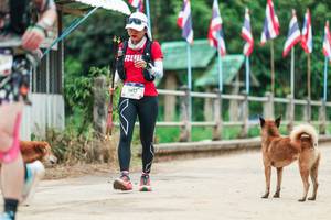 BIB: 
                            <button type="button" onclick="openModal(26943810)" class="btn btn-primary btn-sm float-right btn-popup" data-toggle="modal" data-target=".modal-high-quality">
                        <i class="fas fa-shopping-cart"></i> Add to Cart
                    </button>
                                            <button type="button" onclick="isThisMe(26943810, true)" class="btn btn-success btn-sm float-right btn-popup btn-isme hidden" data-toggle="tooltip" data-placement="bottom" title="นี่คือรูปของคุณใช่ไหม คลิกที่นี่เพื่อเอาเข้าอัลบั้ม">
                        <i class="fas fa-plus"></i> Add to album
                    </button>
                    <button type="button" onclick="isThisMe(26943810, false)" class="btn btn-warning btn-sm float-right btn-popup btn-isnotme hidden">
                        <i class="fas fa-ban"></i> Remove from album
                    </button>