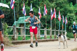 BIB: 
                            <button type="button" onclick="openModal(26943697)" class="btn btn-primary btn-sm float-right btn-popup" data-toggle="modal" data-target=".modal-high-quality">
                        <i class="fas fa-shopping-cart"></i> Add to Cart
                    </button>
                                            <button type="button" onclick="isThisMe(26943697, true)" class="btn btn-success btn-sm float-right btn-popup btn-isme hidden" data-toggle="tooltip" data-placement="bottom" title="นี่คือรูปของคุณใช่ไหม คลิกที่นี่เพื่อเอาเข้าอัลบั้ม">
                        <i class="fas fa-plus"></i> Add to album
                    </button>
                    <button type="button" onclick="isThisMe(26943697, false)" class="btn btn-warning btn-sm float-right btn-popup btn-isnotme hidden">
                        <i class="fas fa-ban"></i> Remove from album
                    </button>