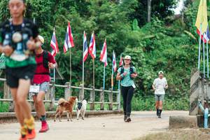 BIB: 
                            <button type="button" onclick="openModal(26943151)" class="btn btn-primary btn-sm float-right btn-popup" data-toggle="modal" data-target=".modal-high-quality">
                        <i class="fas fa-shopping-cart"></i> Add to Cart
                    </button>
                                            <button type="button" onclick="isThisMe(26943151, true)" class="btn btn-success btn-sm float-right btn-popup btn-isme hidden" data-toggle="tooltip" data-placement="bottom" title="นี่คือรูปของคุณใช่ไหม คลิกที่นี่เพื่อเอาเข้าอัลบั้ม">
                        <i class="fas fa-plus"></i> Add to album
                    </button>
                    <button type="button" onclick="isThisMe(26943151, false)" class="btn btn-warning btn-sm float-right btn-popup btn-isnotme hidden">
                        <i class="fas fa-ban"></i> Remove from album
                    </button>