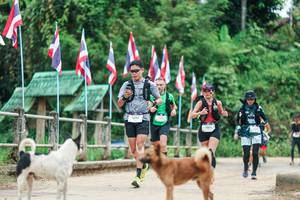 BIB: 
                            <button type="button" onclick="openModal(26943833)" class="btn btn-primary btn-sm float-right btn-popup" data-toggle="modal" data-target=".modal-high-quality">
                        <i class="fas fa-shopping-cart"></i> Add to Cart
                    </button>
                                            <button type="button" onclick="isThisMe(26943833, true)" class="btn btn-success btn-sm float-right btn-popup btn-isme hidden" data-toggle="tooltip" data-placement="bottom" title="นี่คือรูปของคุณใช่ไหม คลิกที่นี่เพื่อเอาเข้าอัลบั้ม">
                        <i class="fas fa-plus"></i> Add to album
                    </button>
                    <button type="button" onclick="isThisMe(26943833, false)" class="btn btn-warning btn-sm float-right btn-popup btn-isnotme hidden">
                        <i class="fas fa-ban"></i> Remove from album
                    </button>