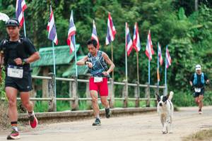 BIB: 
                            <button type="button" onclick="openModal(26943703)" class="btn btn-primary btn-sm float-right btn-popup" data-toggle="modal" data-target=".modal-high-quality">
                        <i class="fas fa-shopping-cart"></i> Add to Cart
                    </button>
                                            <button type="button" onclick="isThisMe(26943703, true)" class="btn btn-success btn-sm float-right btn-popup btn-isme hidden" data-toggle="tooltip" data-placement="bottom" title="นี่คือรูปของคุณใช่ไหม คลิกที่นี่เพื่อเอาเข้าอัลบั้ม">
                        <i class="fas fa-plus"></i> Add to album
                    </button>
                    <button type="button" onclick="isThisMe(26943703, false)" class="btn btn-warning btn-sm float-right btn-popup btn-isnotme hidden">
                        <i class="fas fa-ban"></i> Remove from album
                    </button>