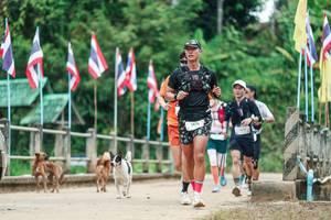 BIB: 
                            <button type="button" onclick="openModal(26942958)" class="btn btn-primary btn-sm float-right btn-popup" data-toggle="modal" data-target=".modal-high-quality">
                        <i class="fas fa-shopping-cart"></i> Add to Cart
                    </button>
                                            <button type="button" onclick="isThisMe(26942958, true)" class="btn btn-success btn-sm float-right btn-popup btn-isme hidden" data-toggle="tooltip" data-placement="bottom" title="นี่คือรูปของคุณใช่ไหม คลิกที่นี่เพื่อเอาเข้าอัลบั้ม">
                        <i class="fas fa-plus"></i> Add to album
                    </button>
                    <button type="button" onclick="isThisMe(26942958, false)" class="btn btn-warning btn-sm float-right btn-popup btn-isnotme hidden">
                        <i class="fas fa-ban"></i> Remove from album
                    </button>