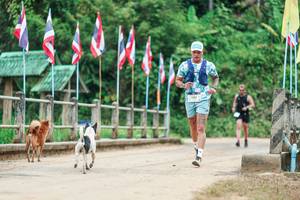 BIB: 
                            <button type="button" onclick="openModal(26944256)" class="btn btn-primary btn-sm float-right btn-popup" data-toggle="modal" data-target=".modal-high-quality">
                        <i class="fas fa-shopping-cart"></i> Add to Cart
                    </button>
                                            <button type="button" onclick="isThisMe(26944256, true)" class="btn btn-success btn-sm float-right btn-popup btn-isme hidden" data-toggle="tooltip" data-placement="bottom" title="นี่คือรูปของคุณใช่ไหม คลิกที่นี่เพื่อเอาเข้าอัลบั้ม">
                        <i class="fas fa-plus"></i> Add to album
                    </button>
                    <button type="button" onclick="isThisMe(26944256, false)" class="btn btn-warning btn-sm float-right btn-popup btn-isnotme hidden">
                        <i class="fas fa-ban"></i> Remove from album
                    </button>