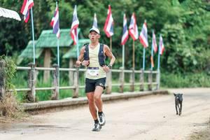 BIB: 
                            <button type="button" onclick="openModal(26945016)" class="btn btn-primary btn-sm float-right btn-popup" data-toggle="modal" data-target=".modal-high-quality">
                        <i class="fas fa-shopping-cart"></i> Add to Cart
                    </button>
                                            <button type="button" onclick="isThisMe(26945016, true)" class="btn btn-success btn-sm float-right btn-popup btn-isme hidden" data-toggle="tooltip" data-placement="bottom" title="นี่คือรูปของคุณใช่ไหม คลิกที่นี่เพื่อเอาเข้าอัลบั้ม">
                        <i class="fas fa-plus"></i> Add to album
                    </button>
                    <button type="button" onclick="isThisMe(26945016, false)" class="btn btn-warning btn-sm float-right btn-popup btn-isnotme hidden">
                        <i class="fas fa-ban"></i> Remove from album
                    </button>