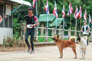 BIB: 
                            <button type="button" onclick="openModal(26943819)" class="btn btn-primary btn-sm float-right btn-popup" data-toggle="modal" data-target=".modal-high-quality">
                        <i class="fas fa-shopping-cart"></i> Add to Cart
                    </button>
                                            <button type="button" onclick="isThisMe(26943819, true)" class="btn btn-success btn-sm float-right btn-popup btn-isme hidden" data-toggle="tooltip" data-placement="bottom" title="นี่คือรูปของคุณใช่ไหม คลิกที่นี่เพื่อเอาเข้าอัลบั้ม">
                        <i class="fas fa-plus"></i> Add to album
                    </button>
                    <button type="button" onclick="isThisMe(26943819, false)" class="btn btn-warning btn-sm float-right btn-popup btn-isnotme hidden">
                        <i class="fas fa-ban"></i> Remove from album
                    </button>