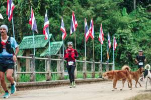 BIB: 
                            <button type="button" onclick="openModal(26943716)" class="btn btn-primary btn-sm float-right btn-popup" data-toggle="modal" data-target=".modal-high-quality">
                        <i class="fas fa-shopping-cart"></i> Add to Cart
                    </button>
                                            <button type="button" onclick="isThisMe(26943716, true)" class="btn btn-success btn-sm float-right btn-popup btn-isme hidden" data-toggle="tooltip" data-placement="bottom" title="นี่คือรูปของคุณใช่ไหม คลิกที่นี่เพื่อเอาเข้าอัลบั้ม">
                        <i class="fas fa-plus"></i> Add to album
                    </button>
                    <button type="button" onclick="isThisMe(26943716, false)" class="btn btn-warning btn-sm float-right btn-popup btn-isnotme hidden">
                        <i class="fas fa-ban"></i> Remove from album
                    </button>