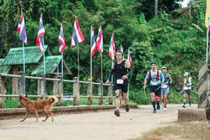 BIB: 
                            <button type="button" onclick="openModal(26943460)" class="btn btn-primary btn-sm float-right btn-popup" data-toggle="modal" data-target=".modal-high-quality">
                        <i class="fas fa-shopping-cart"></i> Add to Cart
                    </button>
                                            <button type="button" onclick="isThisMe(26943460, true)" class="btn btn-success btn-sm float-right btn-popup btn-isme hidden" data-toggle="tooltip" data-placement="bottom" title="นี่คือรูปของคุณใช่ไหม คลิกที่นี่เพื่อเอาเข้าอัลบั้ม">
                        <i class="fas fa-plus"></i> Add to album
                    </button>
                    <button type="button" onclick="isThisMe(26943460, false)" class="btn btn-warning btn-sm float-right btn-popup btn-isnotme hidden">
                        <i class="fas fa-ban"></i> Remove from album
                    </button>