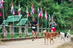 BIB: 
                            <button type="button" onclick="openModal(26943712)" class="btn btn-primary btn-sm float-right btn-popup" data-toggle="modal" data-target=".modal-high-quality">
                        <i class="fas fa-shopping-cart"></i> Add to Cart
                    </button>
                                            <button type="button" onclick="isThisMe(26943712, true)" class="btn btn-success btn-sm float-right btn-popup btn-isme hidden" data-toggle="tooltip" data-placement="bottom" title="นี่คือรูปของคุณใช่ไหม คลิกที่นี่เพื่อเอาเข้าอัลบั้ม">
                        <i class="fas fa-plus"></i> Add to album
                    </button>
                    <button type="button" onclick="isThisMe(26943712, false)" class="btn btn-warning btn-sm float-right btn-popup btn-isnotme hidden">
                        <i class="fas fa-ban"></i> Remove from album
                    </button>