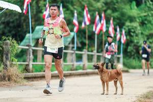 BIB: 
                            <button type="button" onclick="openModal(26943847)" class="btn btn-primary btn-sm float-right btn-popup" data-toggle="modal" data-target=".modal-high-quality">
                        <i class="fas fa-shopping-cart"></i> Add to Cart
                    </button>
                                            <button type="button" onclick="isThisMe(26943847, true)" class="btn btn-success btn-sm float-right btn-popup btn-isme hidden" data-toggle="tooltip" data-placement="bottom" title="นี่คือรูปของคุณใช่ไหม คลิกที่นี่เพื่อเอาเข้าอัลบั้ม">
                        <i class="fas fa-plus"></i> Add to album
                    </button>
                    <button type="button" onclick="isThisMe(26943847, false)" class="btn btn-warning btn-sm float-right btn-popup btn-isnotme hidden">
                        <i class="fas fa-ban"></i> Remove from album
                    </button>