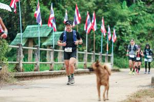 BIB: 
                            <button type="button" onclick="openModal(26943841)" class="btn btn-primary btn-sm float-right btn-popup" data-toggle="modal" data-target=".modal-high-quality">
                        <i class="fas fa-shopping-cart"></i> Add to Cart
                    </button>
                                            <button type="button" onclick="isThisMe(26943841, true)" class="btn btn-success btn-sm float-right btn-popup btn-isme hidden" data-toggle="tooltip" data-placement="bottom" title="นี่คือรูปของคุณใช่ไหม คลิกที่นี่เพื่อเอาเข้าอัลบั้ม">
                        <i class="fas fa-plus"></i> Add to album
                    </button>
                    <button type="button" onclick="isThisMe(26943841, false)" class="btn btn-warning btn-sm float-right btn-popup btn-isnotme hidden">
                        <i class="fas fa-ban"></i> Remove from album
                    </button>