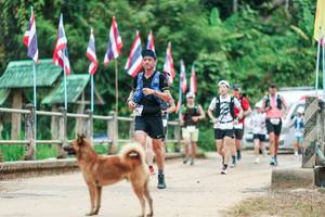 BIB: 
                            <button type="button" onclick="openModal(26943798)" class="btn btn-primary btn-sm float-right btn-popup" data-toggle="modal" data-target=".modal-high-quality">
                        <i class="fas fa-shopping-cart"></i> Add to Cart
                    </button>
                                            <button type="button" onclick="isThisMe(26943798, true)" class="btn btn-success btn-sm float-right btn-popup btn-isme hidden" data-toggle="tooltip" data-placement="bottom" title="นี่คือรูปของคุณใช่ไหม คลิกที่นี่เพื่อเอาเข้าอัลบั้ม">
                        <i class="fas fa-plus"></i> Add to album
                    </button>
                    <button type="button" onclick="isThisMe(26943798, false)" class="btn btn-warning btn-sm float-right btn-popup btn-isnotme hidden">
                        <i class="fas fa-ban"></i> Remove from album
                    </button>