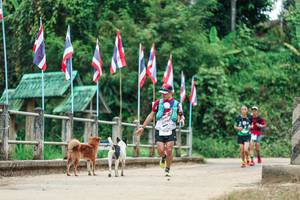 BIB: 
                            <button type="button" onclick="openModal(26943163)" class="btn btn-primary btn-sm float-right btn-popup" data-toggle="modal" data-target=".modal-high-quality">
                        <i class="fas fa-shopping-cart"></i> Add to Cart
                    </button>
                                            <button type="button" onclick="isThisMe(26943163, true)" class="btn btn-success btn-sm float-right btn-popup btn-isme hidden" data-toggle="tooltip" data-placement="bottom" title="นี่คือรูปของคุณใช่ไหม คลิกที่นี่เพื่อเอาเข้าอัลบั้ม">
                        <i class="fas fa-plus"></i> Add to album
                    </button>
                    <button type="button" onclick="isThisMe(26943163, false)" class="btn btn-warning btn-sm float-right btn-popup btn-isnotme hidden">
                        <i class="fas fa-ban"></i> Remove from album
                    </button>