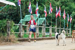 BIB: 
                            <button type="button" onclick="openModal(26943728)" class="btn btn-primary btn-sm float-right btn-popup" data-toggle="modal" data-target=".modal-high-quality">
                        <i class="fas fa-shopping-cart"></i> Add to Cart
                    </button>
                                            <button type="button" onclick="isThisMe(26943728, true)" class="btn btn-success btn-sm float-right btn-popup btn-isme hidden" data-toggle="tooltip" data-placement="bottom" title="นี่คือรูปของคุณใช่ไหม คลิกที่นี่เพื่อเอาเข้าอัลบั้ม">
                        <i class="fas fa-plus"></i> Add to album
                    </button>
                    <button type="button" onclick="isThisMe(26943728, false)" class="btn btn-warning btn-sm float-right btn-popup btn-isnotme hidden">
                        <i class="fas fa-ban"></i> Remove from album
                    </button>