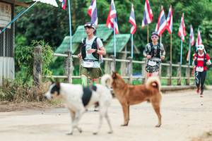 BIB: 
                            <button type="button" onclick="openModal(26943817)" class="btn btn-primary btn-sm float-right btn-popup" data-toggle="modal" data-target=".modal-high-quality">
                        <i class="fas fa-shopping-cart"></i> Add to Cart
                    </button>
                                            <button type="button" onclick="isThisMe(26943817, true)" class="btn btn-success btn-sm float-right btn-popup btn-isme hidden" data-toggle="tooltip" data-placement="bottom" title="นี่คือรูปของคุณใช่ไหม คลิกที่นี่เพื่อเอาเข้าอัลบั้ม">
                        <i class="fas fa-plus"></i> Add to album
                    </button>
                    <button type="button" onclick="isThisMe(26943817, false)" class="btn btn-warning btn-sm float-right btn-popup btn-isnotme hidden">
                        <i class="fas fa-ban"></i> Remove from album
                    </button>