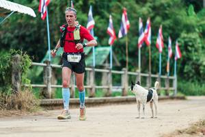 BIB: 
                            <button type="button" onclick="openModal(26943637)" class="btn btn-primary btn-sm float-right btn-popup" data-toggle="modal" data-target=".modal-high-quality">
                        <i class="fas fa-shopping-cart"></i> Add to Cart
                    </button>
                                            <button type="button" onclick="isThisMe(26943637, true)" class="btn btn-success btn-sm float-right btn-popup btn-isme hidden" data-toggle="tooltip" data-placement="bottom" title="นี่คือรูปของคุณใช่ไหม คลิกที่นี่เพื่อเอาเข้าอัลบั้ม">
                        <i class="fas fa-plus"></i> Add to album
                    </button>
                    <button type="button" onclick="isThisMe(26943637, false)" class="btn btn-warning btn-sm float-right btn-popup btn-isnotme hidden">
                        <i class="fas fa-ban"></i> Remove from album
                    </button>