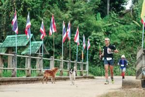 BIB: 
                            <button type="button" onclick="openModal(26943125)" class="btn btn-primary btn-sm float-right btn-popup" data-toggle="modal" data-target=".modal-high-quality">
                        <i class="fas fa-shopping-cart"></i> Add to Cart
                    </button>
                                            <button type="button" onclick="isThisMe(26943125, true)" class="btn btn-success btn-sm float-right btn-popup btn-isme hidden" data-toggle="tooltip" data-placement="bottom" title="นี่คือรูปของคุณใช่ไหม คลิกที่นี่เพื่อเอาเข้าอัลบั้ม">
                        <i class="fas fa-plus"></i> Add to album
                    </button>
                    <button type="button" onclick="isThisMe(26943125, false)" class="btn btn-warning btn-sm float-right btn-popup btn-isnotme hidden">
                        <i class="fas fa-ban"></i> Remove from album
                    </button>